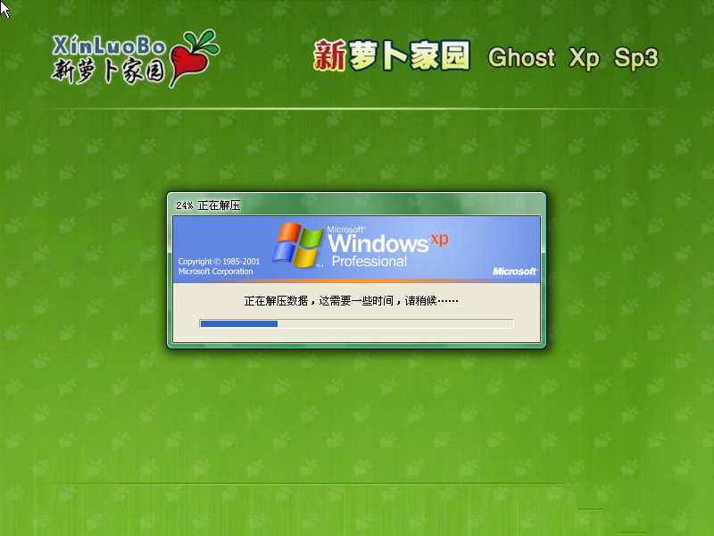 windowsXP萝卜图片